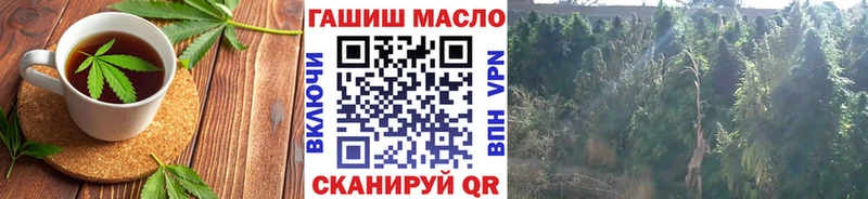 что такое   Жирновск  KRAKEN зеркало  Еда ТГК марихуана 