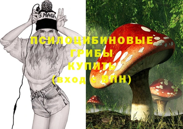 соль курить ск Алексеевка