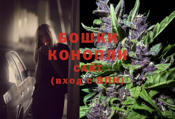 шишки Алзамай