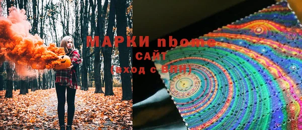шишки Алзамай