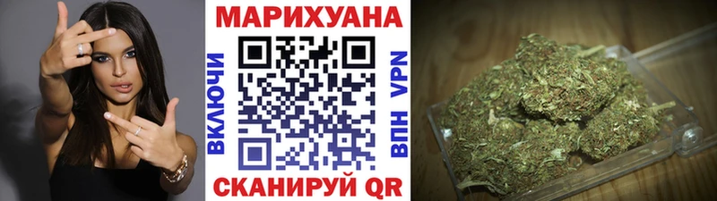 где продают   Жирновск  Бошки Шишки SATIVA & INDICA 
